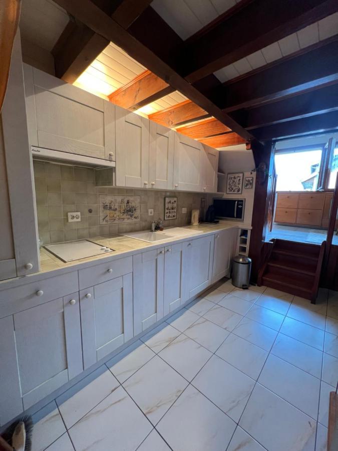Rare 2 Bedroom With Private Beach On Lake Annecy Doussard Extérieur photo